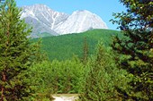 07_27 (5)
